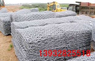 ʯ�\�W(w��ng)