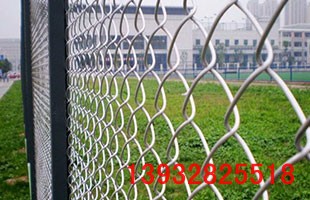 ���ξW(w��ng)