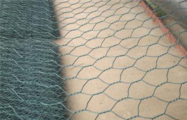 ���ܸ��e�W(w��ng)